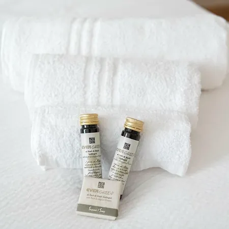 Apartment Paglietta Quattro